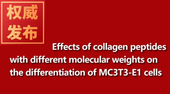 Effects of collagen peptides with different molecular weights on the differentiation of MC3T3-E1 cel